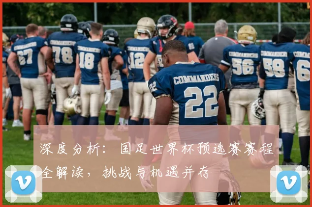 深度分析：国足世界杯预选赛赛程全解读，挑战与机遇并存