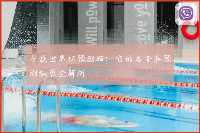 寻找世界杯预测猫:它的名字和预测秘密全解析