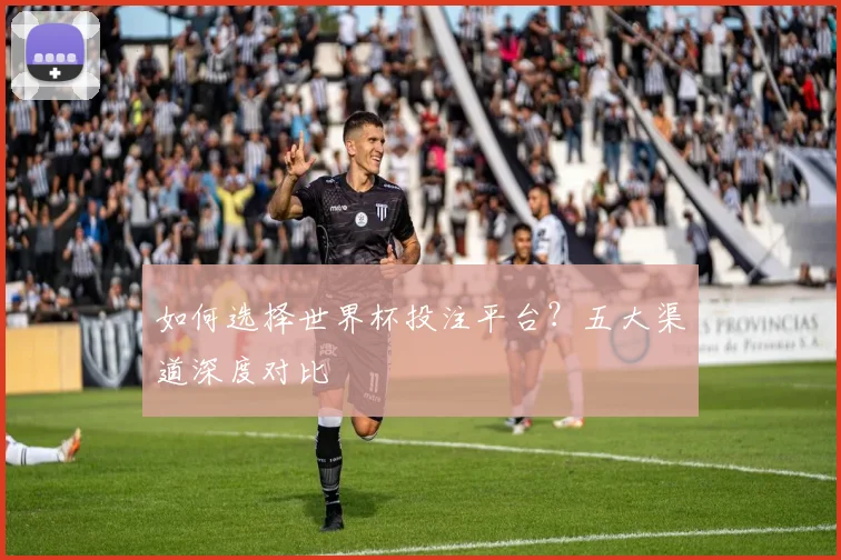 如何选择世界杯投注平台?五大渠道深度对比