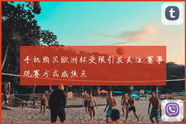 手机购买欧洲杯受限引发关注 赛事观赛方式成焦点