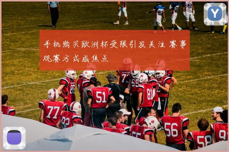 手机购买欧洲杯受限引发关注 赛事观赛方式成焦点