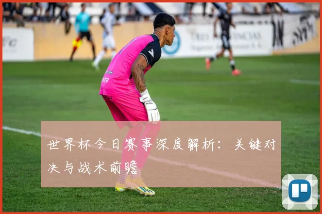 世界杯今日赛事深度解析：关键对决与战术前瞻