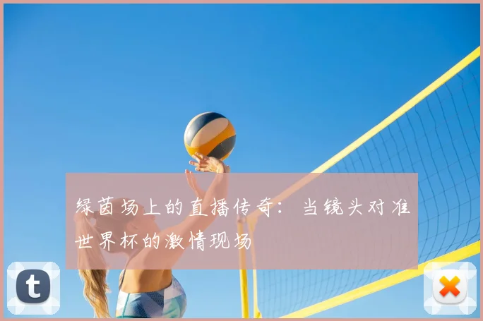 绿茵场上的直播传奇：当镜头对准世界杯的激情现场