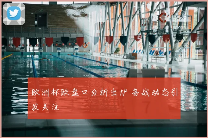 欧洲杯欧盘口分析出炉 备战动态引发关注