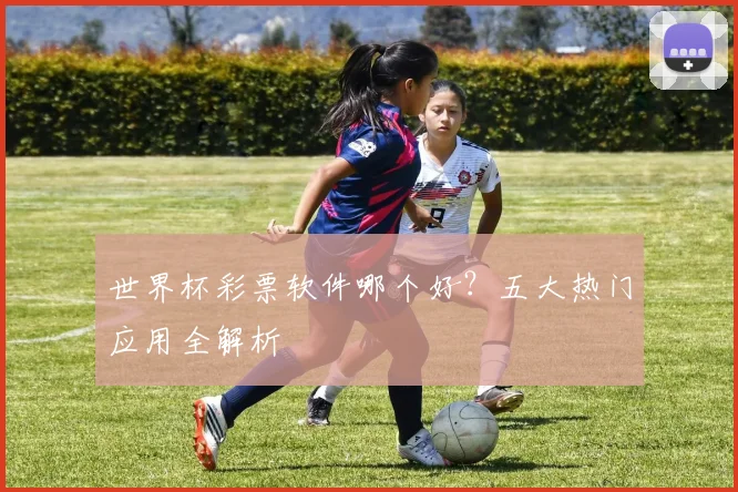 世界杯彩票软件哪个好?五大热门应用全解析