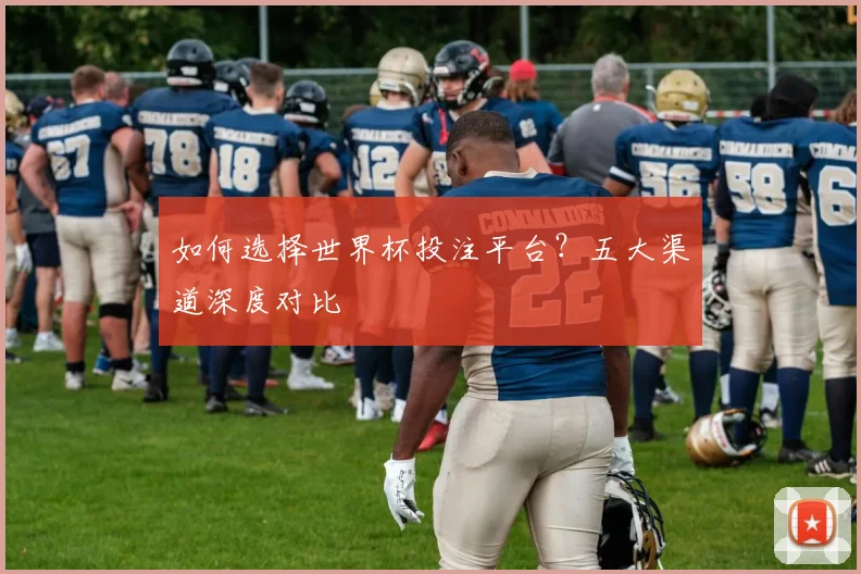 如何选择世界杯投注平台？五大渠道深度对比