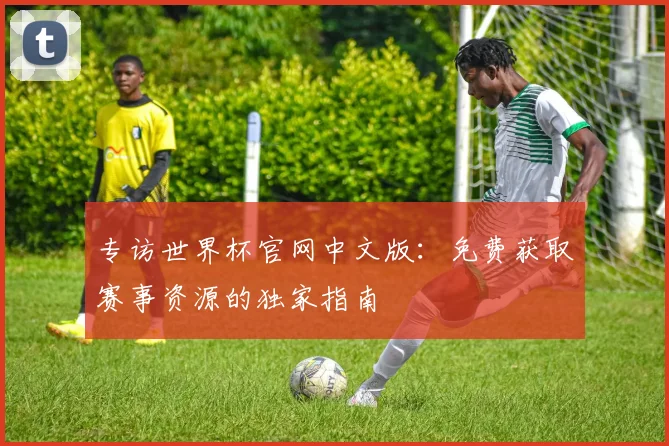 专访世界杯官网中文版：免费获取赛事资源的独家指南