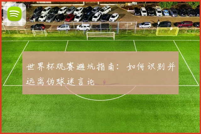 世界杯观赛避坑指南:如何识别并远离伪球迷言论