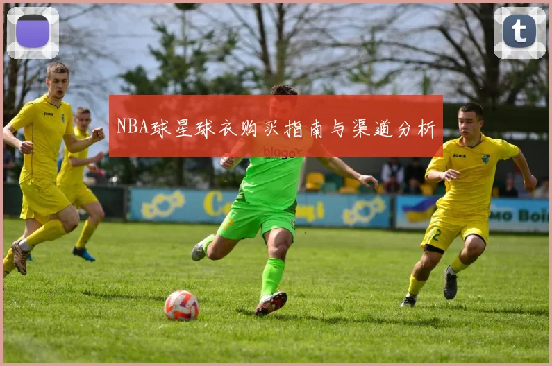 NBA球星球衣购买指南与渠道分析