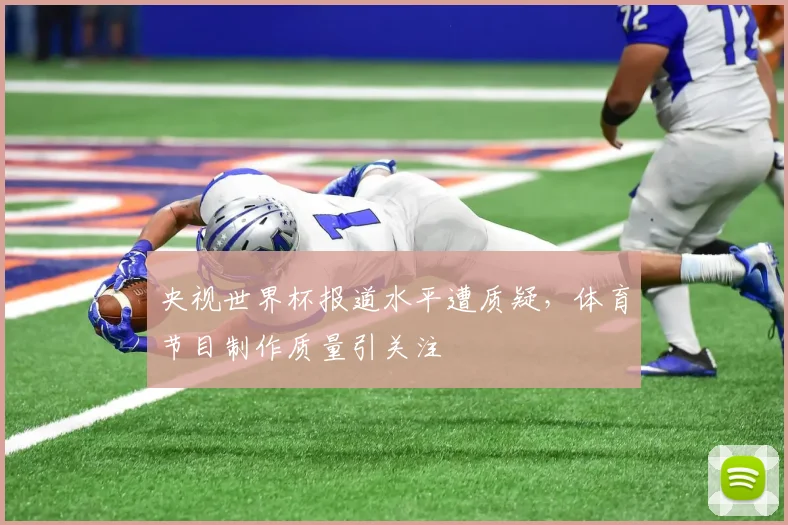 央视世界杯报道水平遭质疑,体育节目制作质量引关注