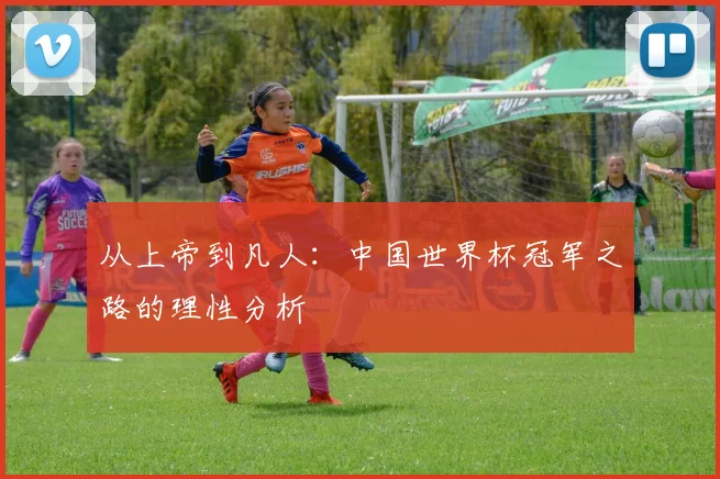 从上帝到凡人：中国世界杯冠军之路的理性分析