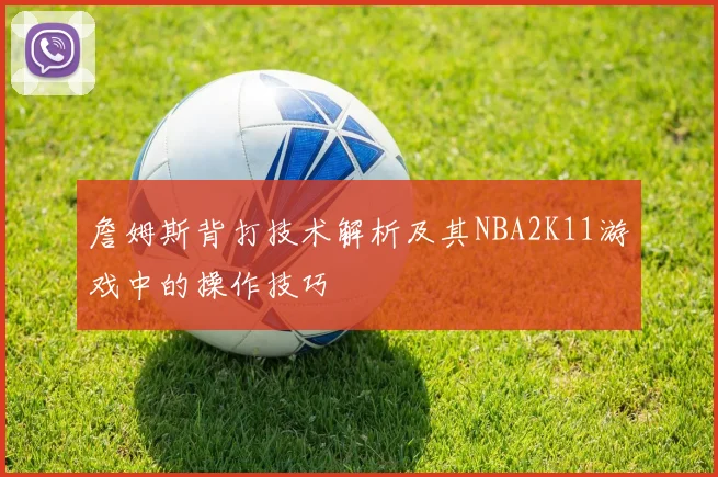 詹姆斯背打技术解析及其NBA2K11游戏中的操作技巧