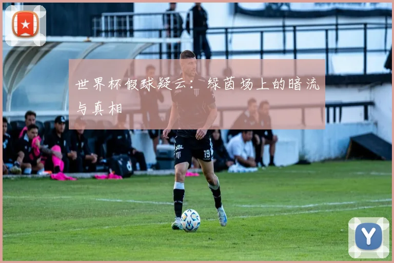 世界杯假球疑云：绿茵场上的暗流与真相